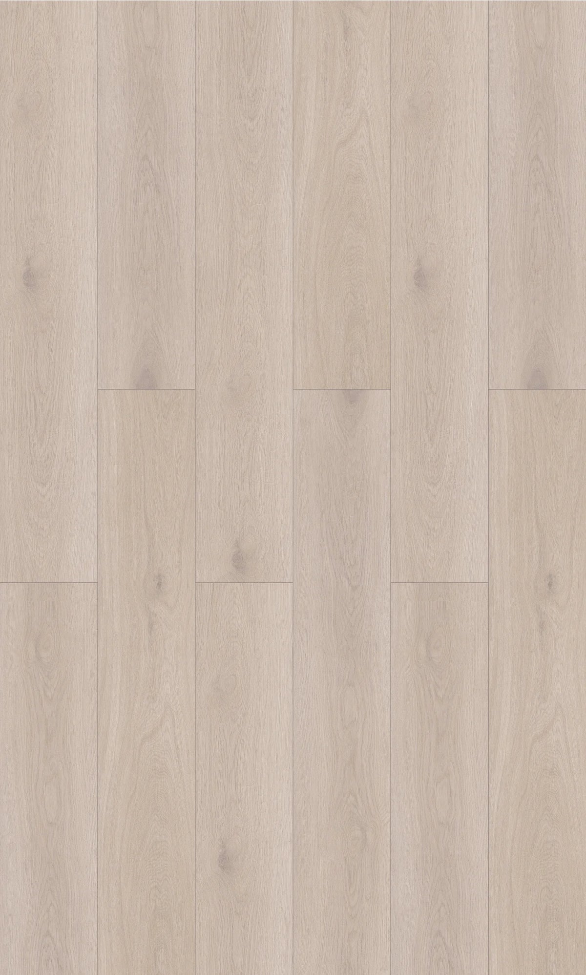 CREAM OAK LAMINATE