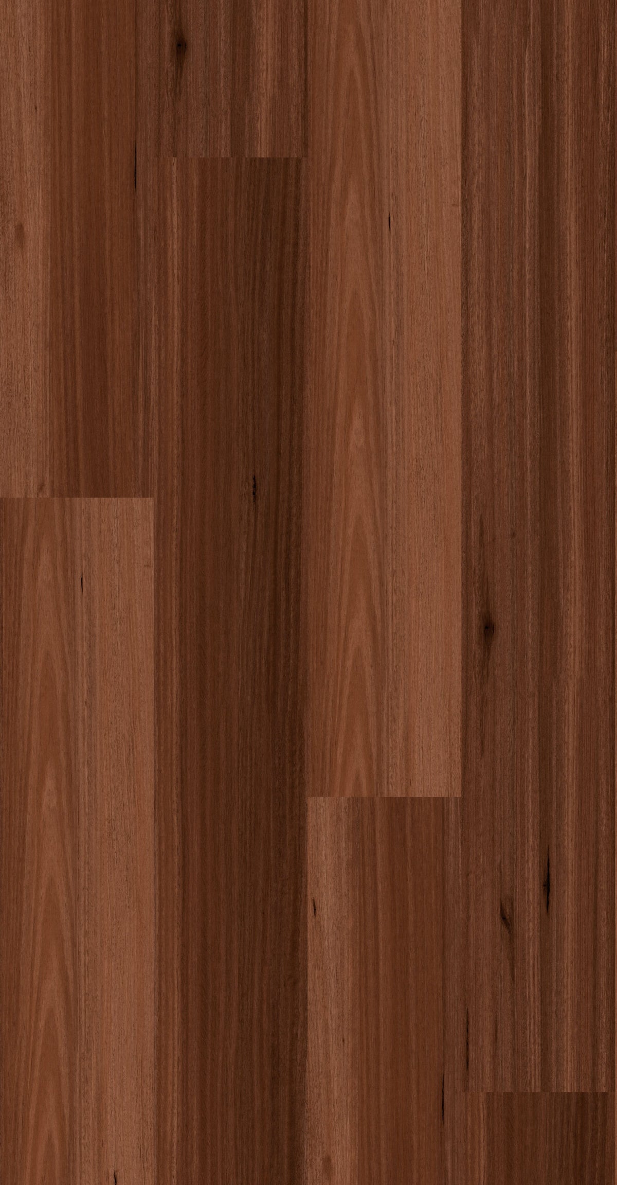 JARRAH HYBRID